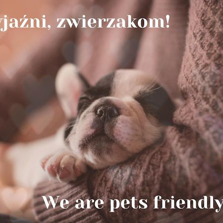 Willa Jordanowka Czorsztyn Kültér fotó